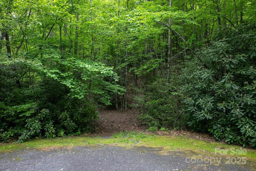 306 Old Spring Road, Unit 306 Brevard, NC 28712 - Photo 18 of 23