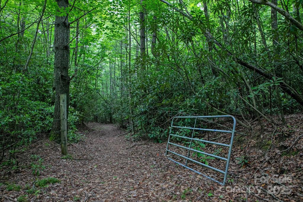 306 Old Spring Road, Unit 306 Brevard, NC 28712 - Photo 19 of 23 a view of backyard with green space