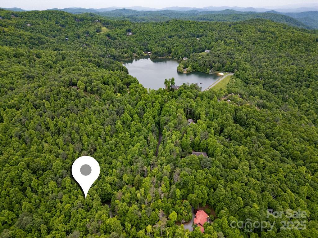 306 Old Spring Road, Unit 306 Brevard, NC 28712 - Photo 4 of 23 a aerial view of a house with a swimming pool and garden