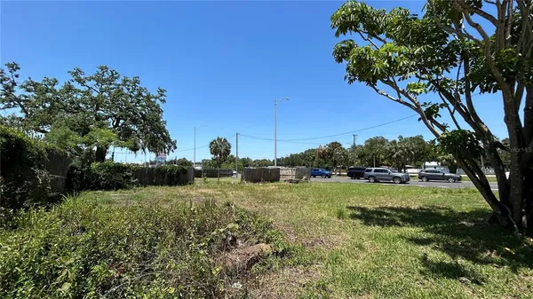 a view of a large trees with a big yard