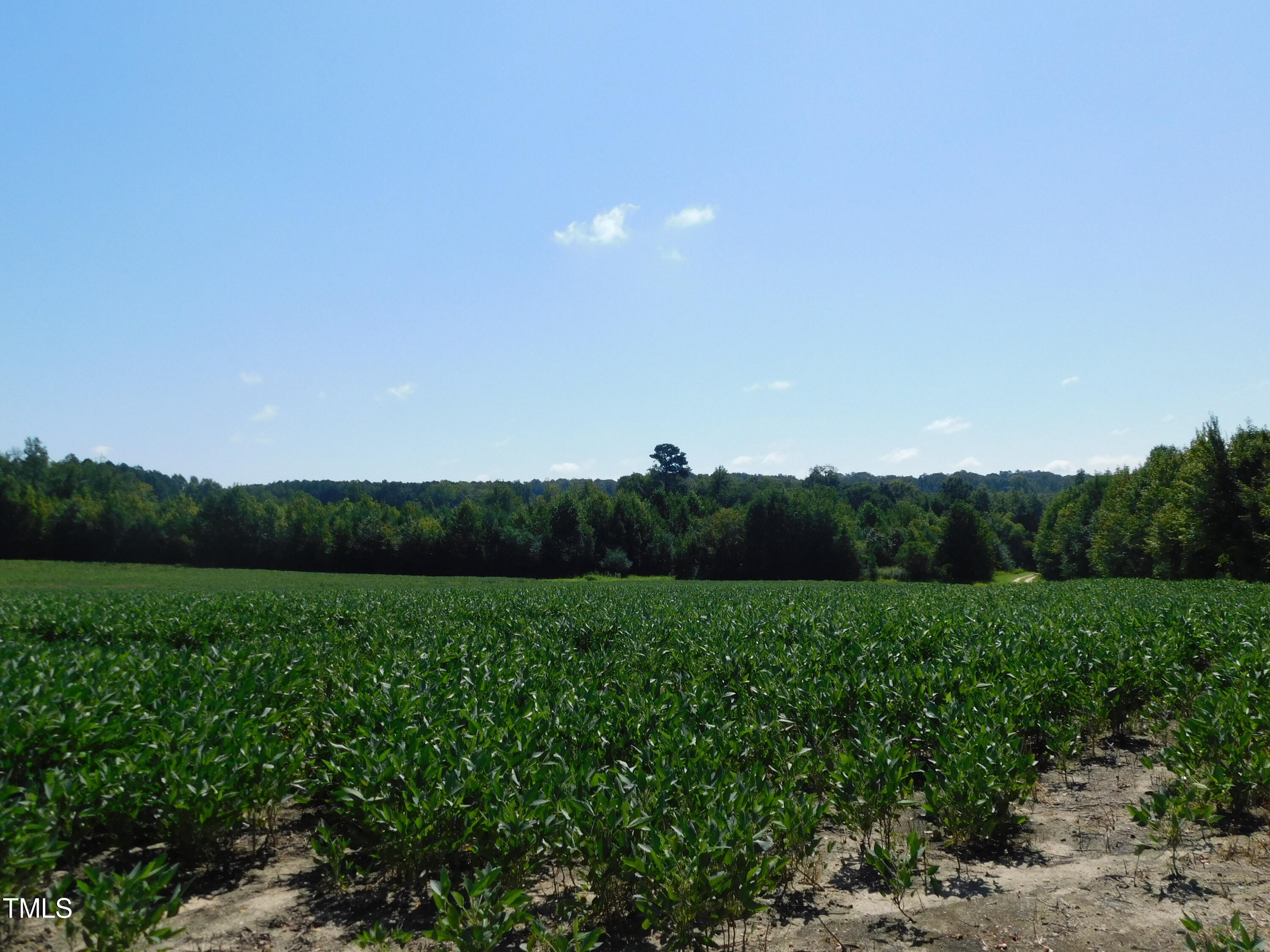 8186 Edwards Road Castalia, NC 27816 - Photo 11 of 19 DSCN0683