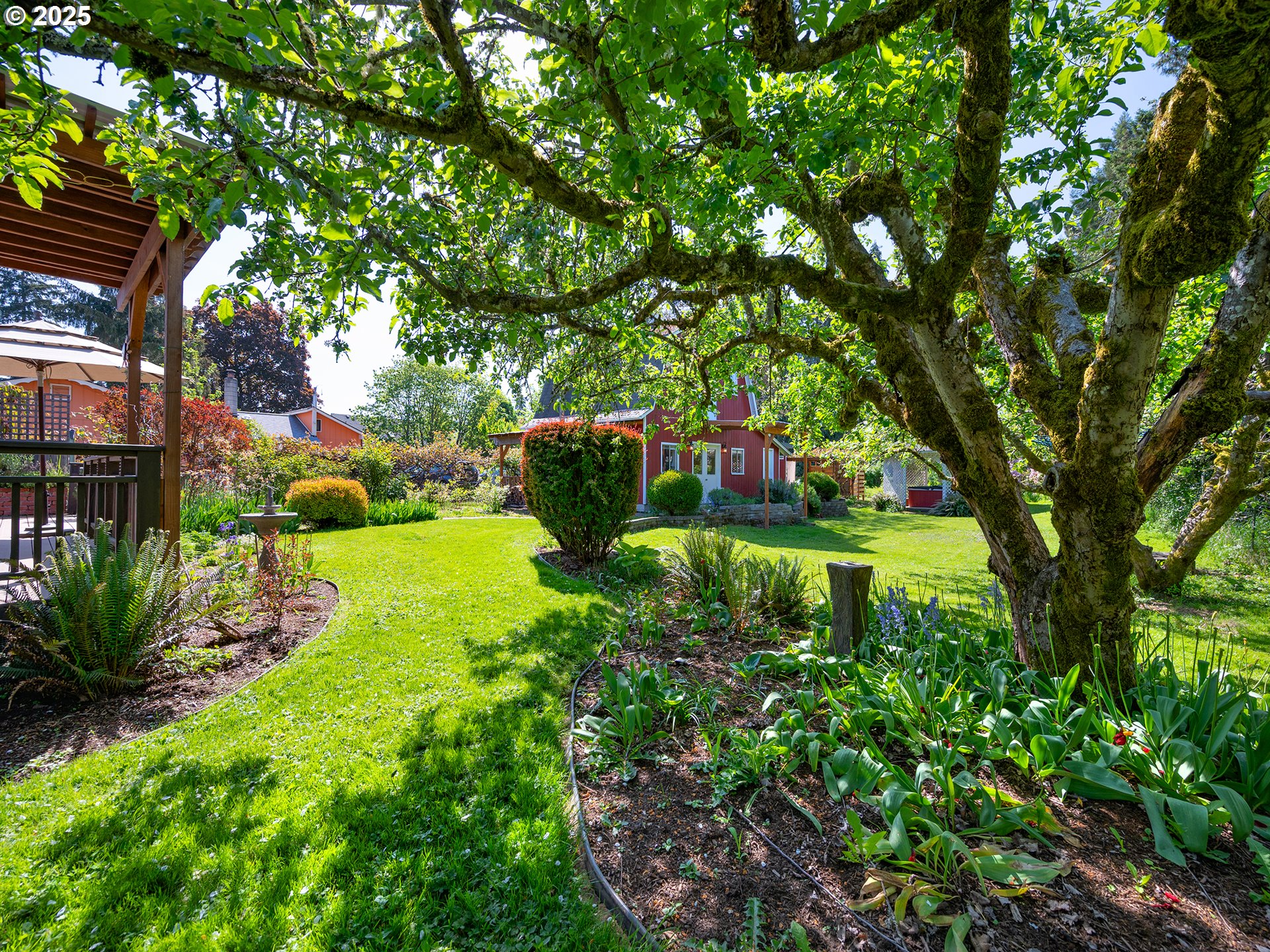 464 Spring Creek Drive Eugene, OR 97404 - Photo 20 of 45 a view of a garden with plants