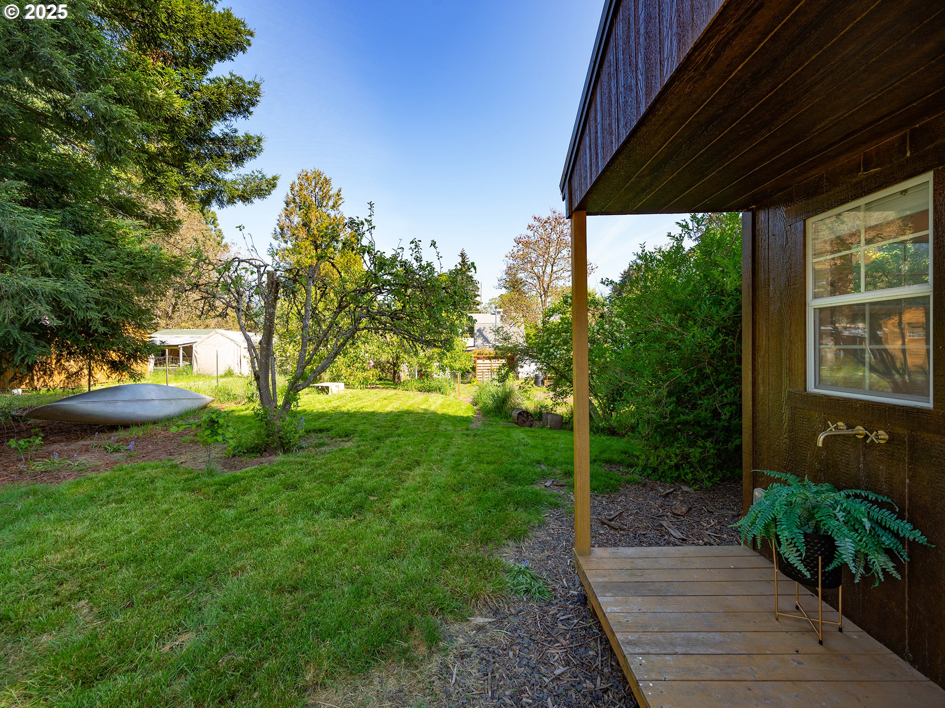 464 Spring Creek Drive Eugene, OR 97404 - Photo 34 of 45 a view of a backyard with plants and large trees