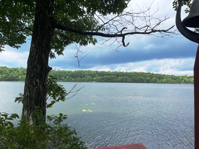 162 Hall Road Maryland, NY 12116 - Photo 18 of 25