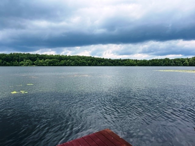 162 Hall Road Maryland, NY 12116 - Photo 19 of 25