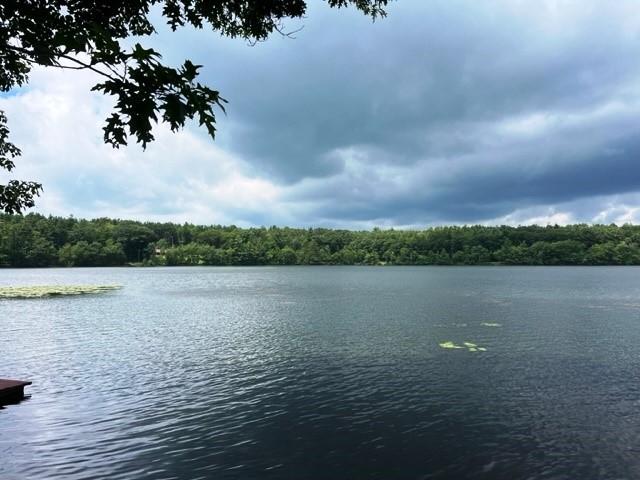 162 Hall Road Maryland, NY 12116 - Photo 2 of 25