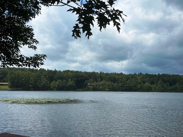 162 Hall Road Maryland, NY 12116 - Photo 21 of 25