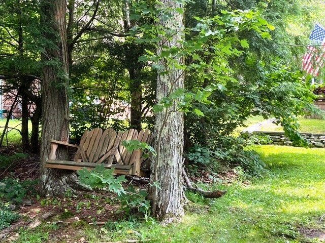 162 Hall Road Maryland, NY 12116 - Photo 23 of 25