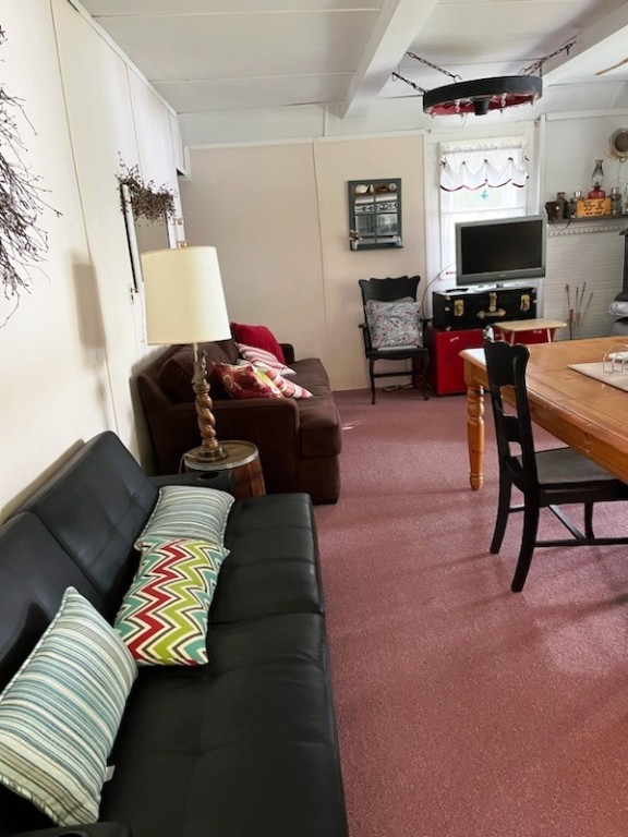 162 Hall Road Maryland, NY 12116 - Photo 3 of 25