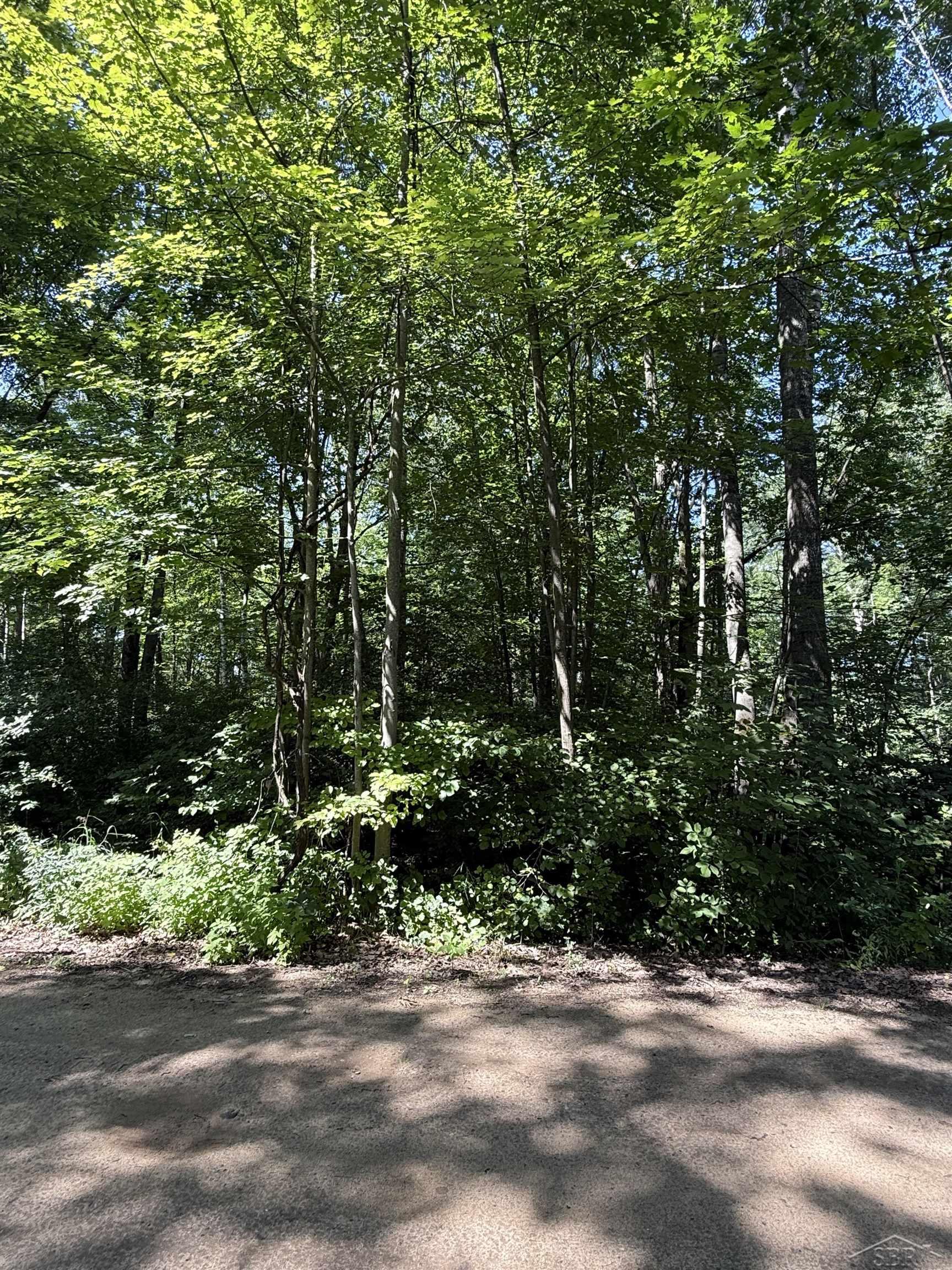 4477 Forest Road Harrison, MI 48625 - Photo 1 of 10