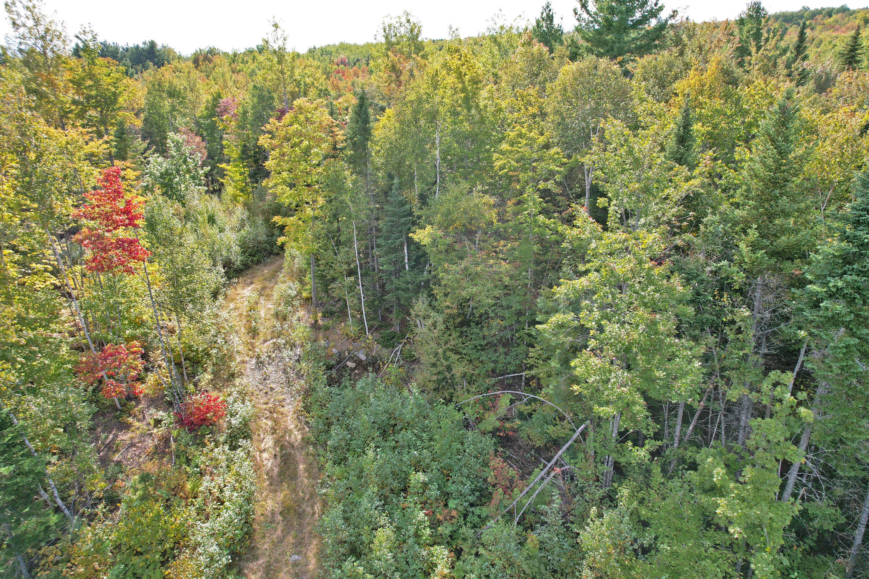 14-26 Larrabee Road Parkman, ME 04443 - Photo 8 of 15 dji_fly_20220925_145026_243_166413271972