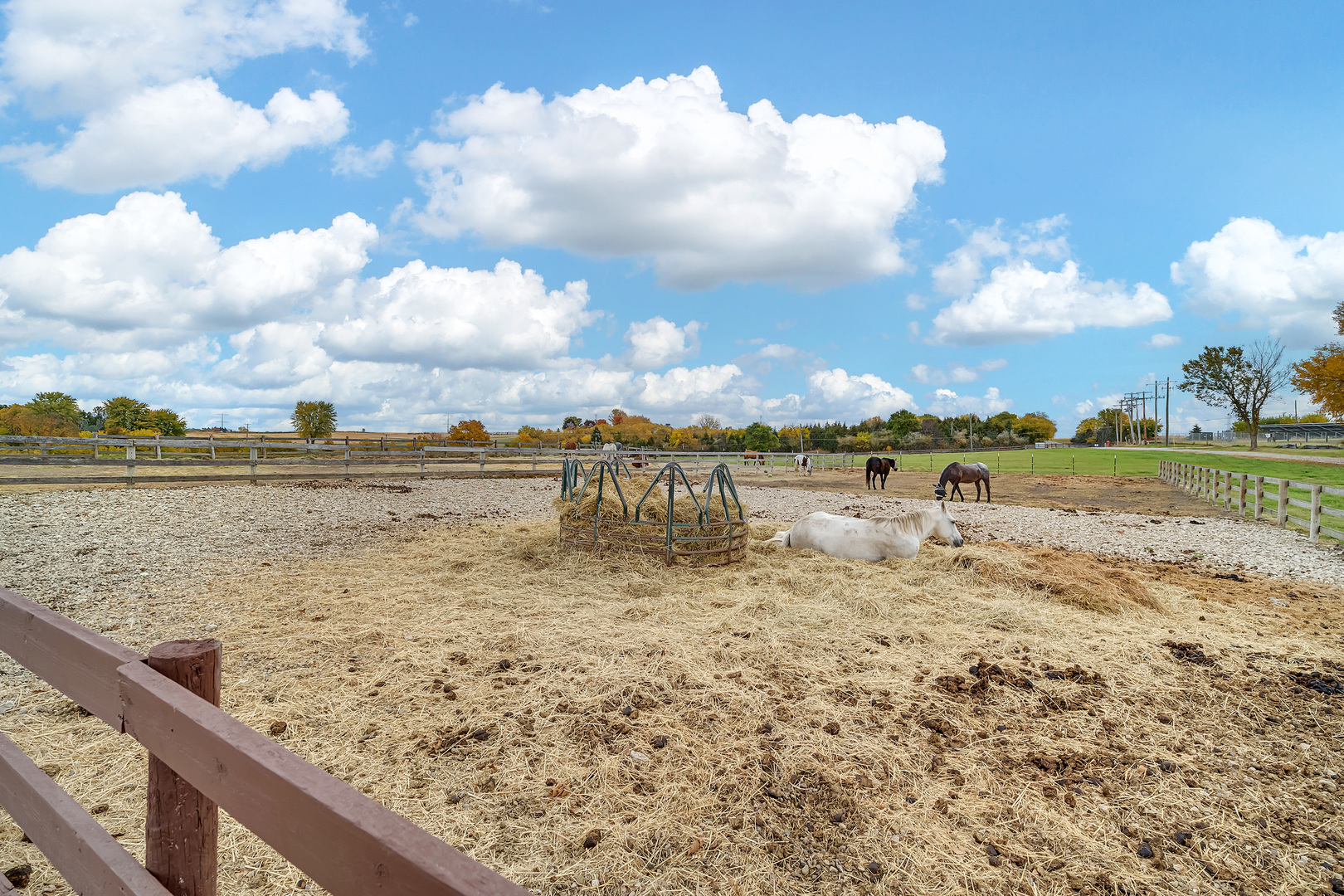 2795 East 28th Road Marseilles, IL 61341 - Photo 47 of 65 Gallery Image 47