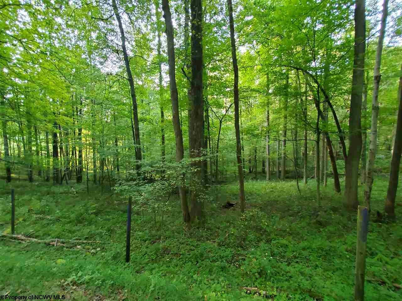 4520 Heaston Ridge Road Crawford, WV 26343 - Photo 14 of 30 Gallery Image 14
