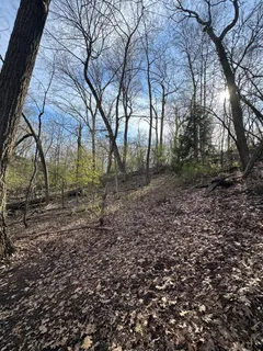 $299,000 | Lt123 Oak Lane, Unit LT124, La Grange, WI 53121