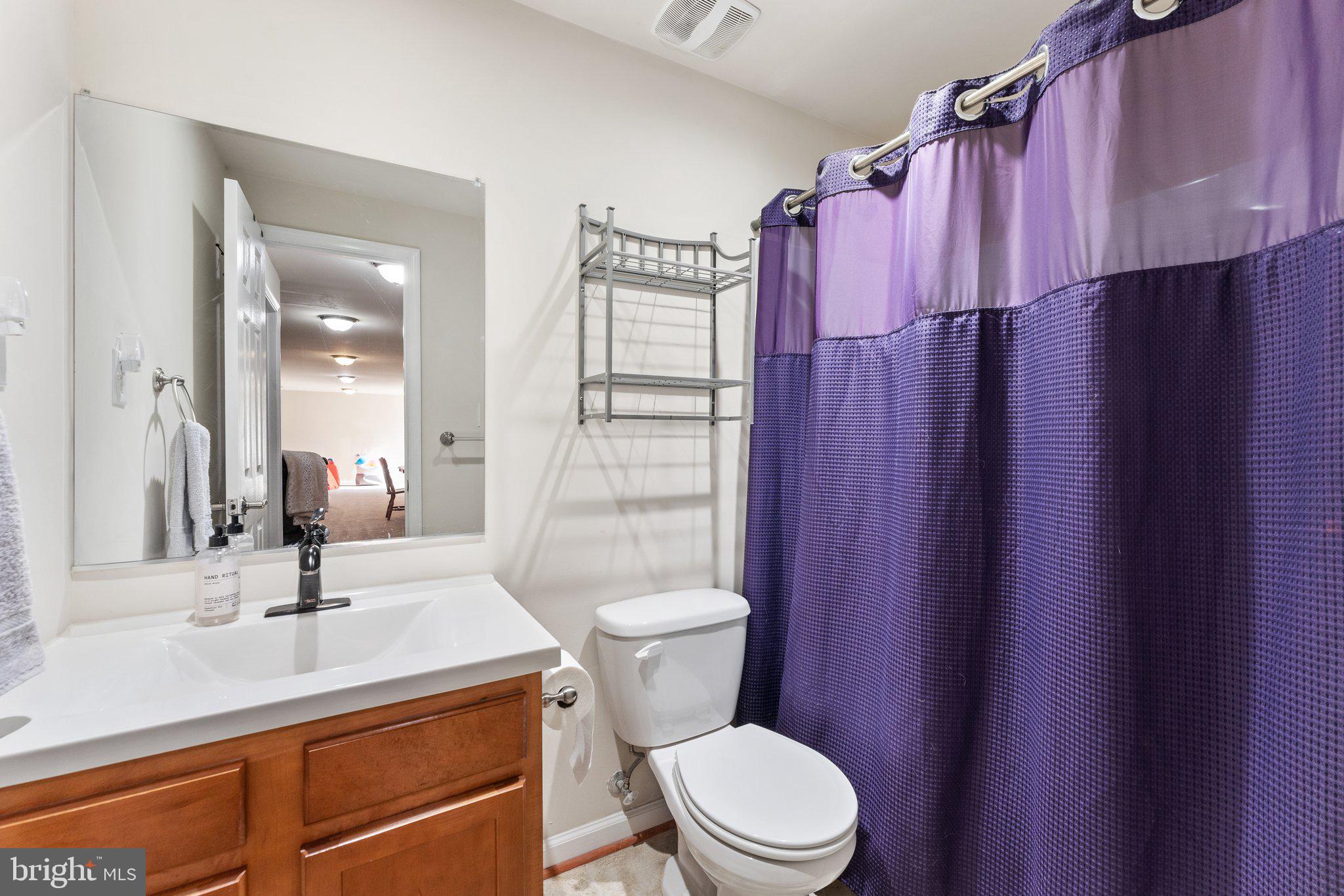 10103 Alum Springs Road Culpeper, VA 22701 - Photo 54 of 79 Basement bathroom