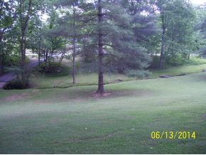 299 Harold Cemetery Road Greeneville, TN 37745 - Photo 19 of 23 view from L R