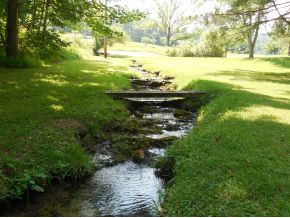 299 Harold Cemetery Road Greeneville, TN 37745 - Photo 2 of 23 creek