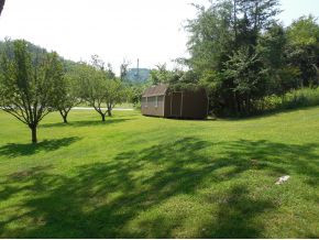299 Harold Cemetery Road Greeneville, TN 37745 - Photo 4 of 23 side yard