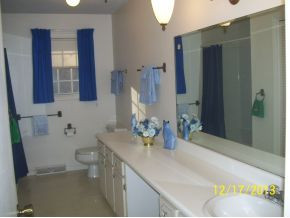 299 Harold Cemetery Road Greeneville, TN 37745 - Photo 7 of 23 large main bath