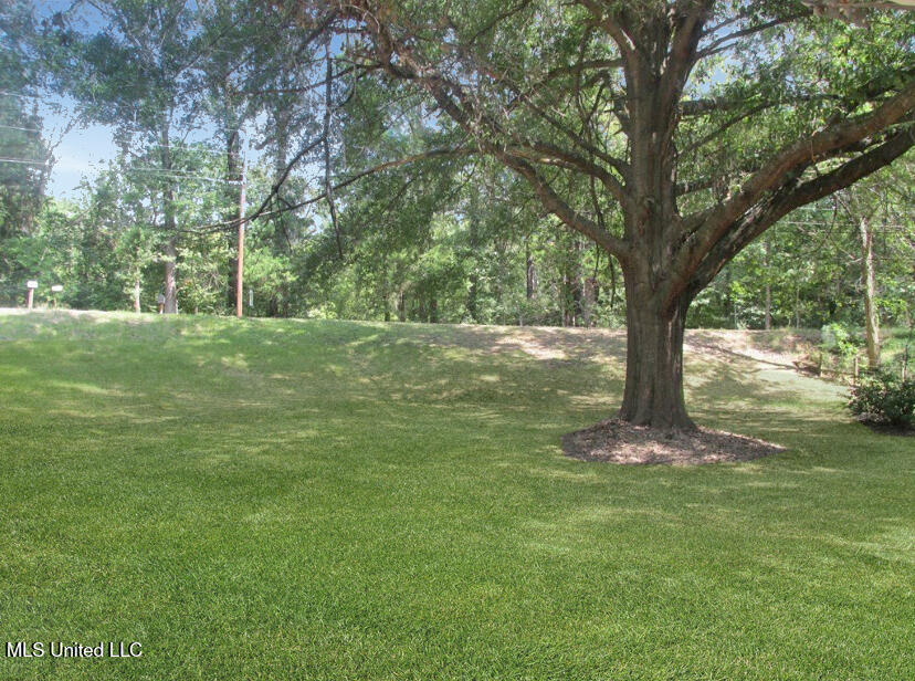 829 Kirkland Road Vicksburg, MS 39180 - Photo 9 of 13 IMG_9706