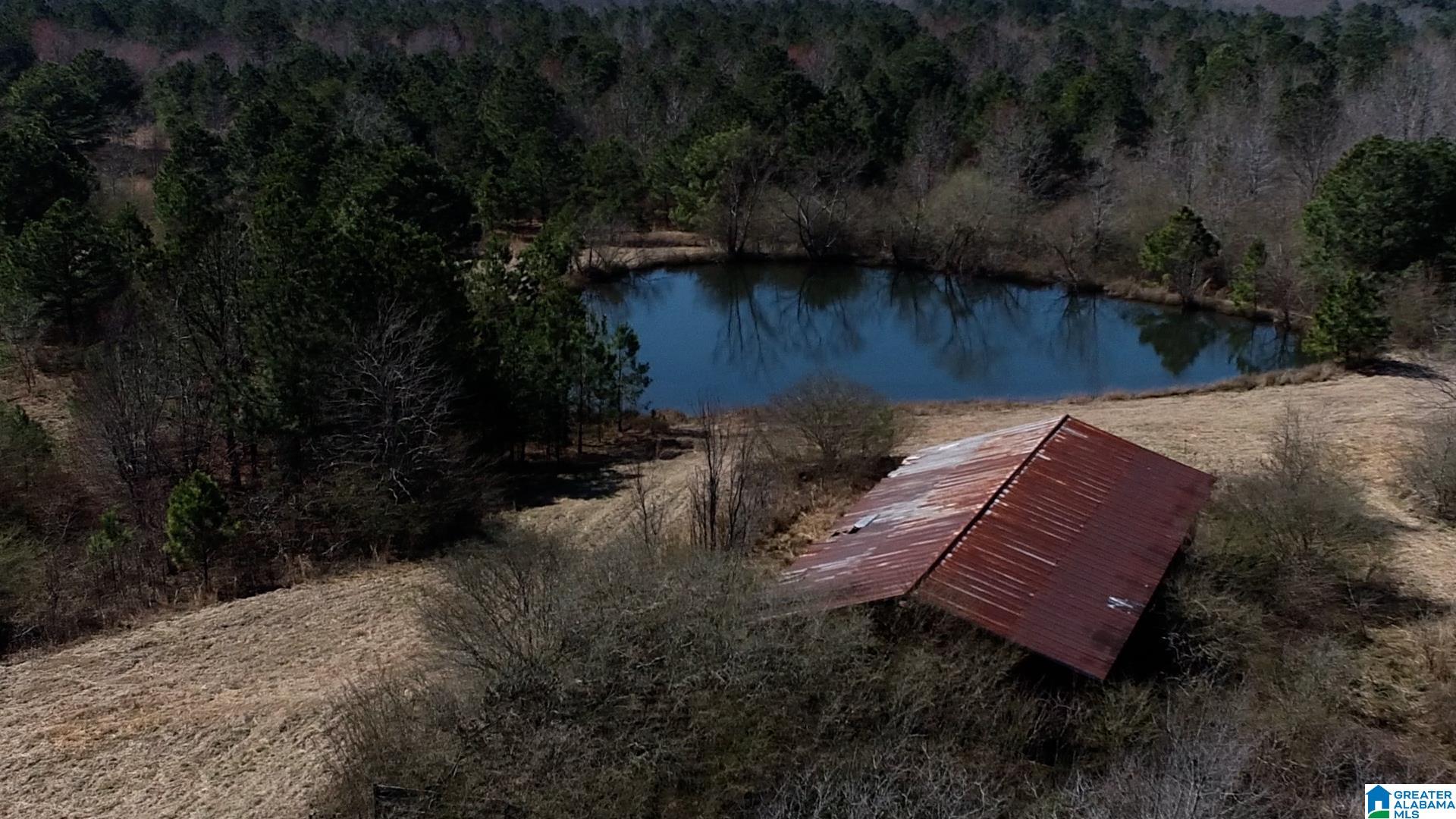 0 Jones Chapel Loop, Unit 20 ACRES Springville, AL 35146 - Photo 8 of 13