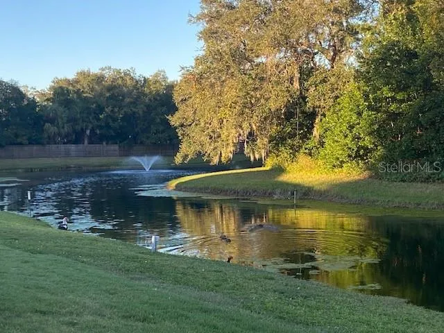 a view of lake with green space