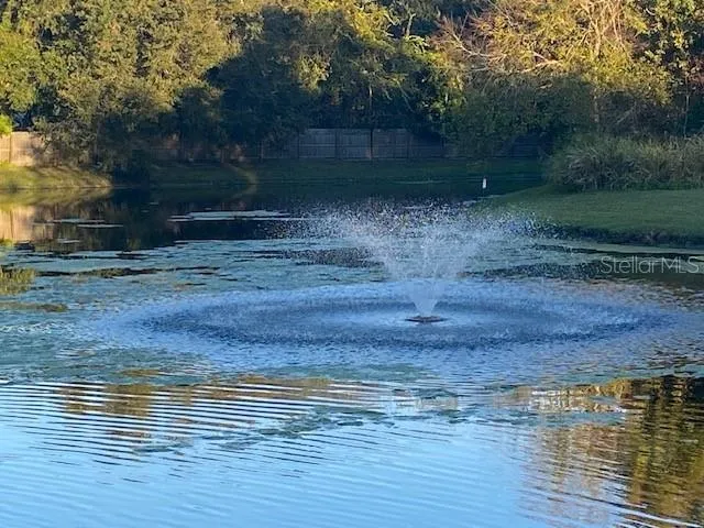 a view of a lake with a yard