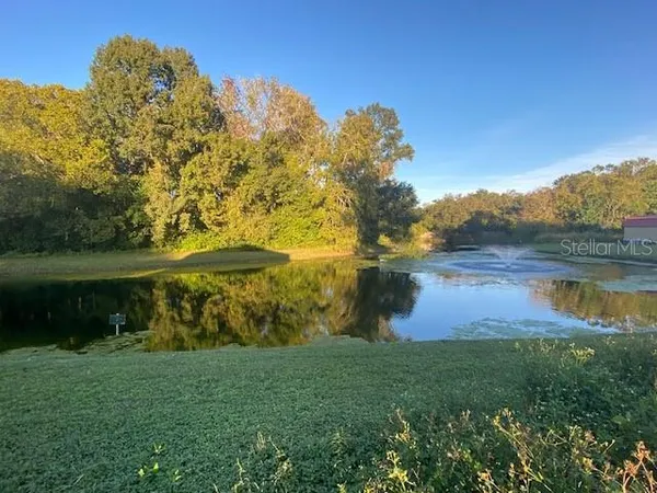 a view of a garden with a lake