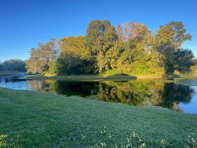1371 Vine Street Daytona Beach, FL 32117 - Photo 7 of 9 a view of a garden with a lake