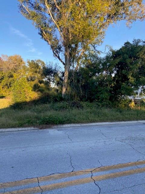 1371 Vine Street Daytona Beach, FL 32117 - Photo 8 of 9 a view of a yard with a tree