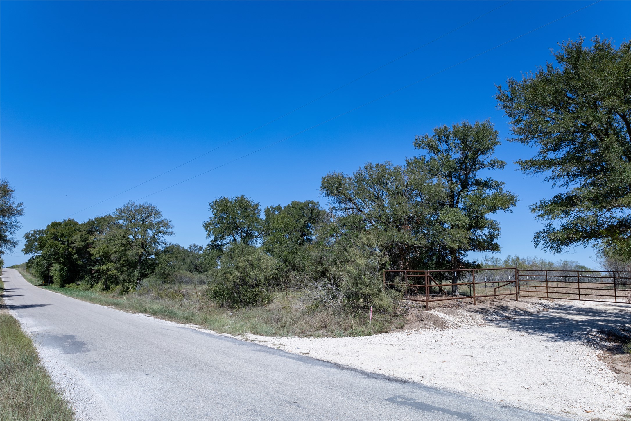 4005 Old Colony Line Road Dale, TX 78616 - Photo 4 of 8 a view of a yard with a tree