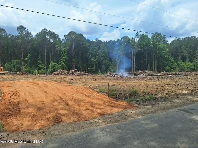 709 Old Pinola Braxton Road Braxton, MS 39044 - Photo 7 of 13 2fbd2164-b805-46d2-8e50-454355bba14d