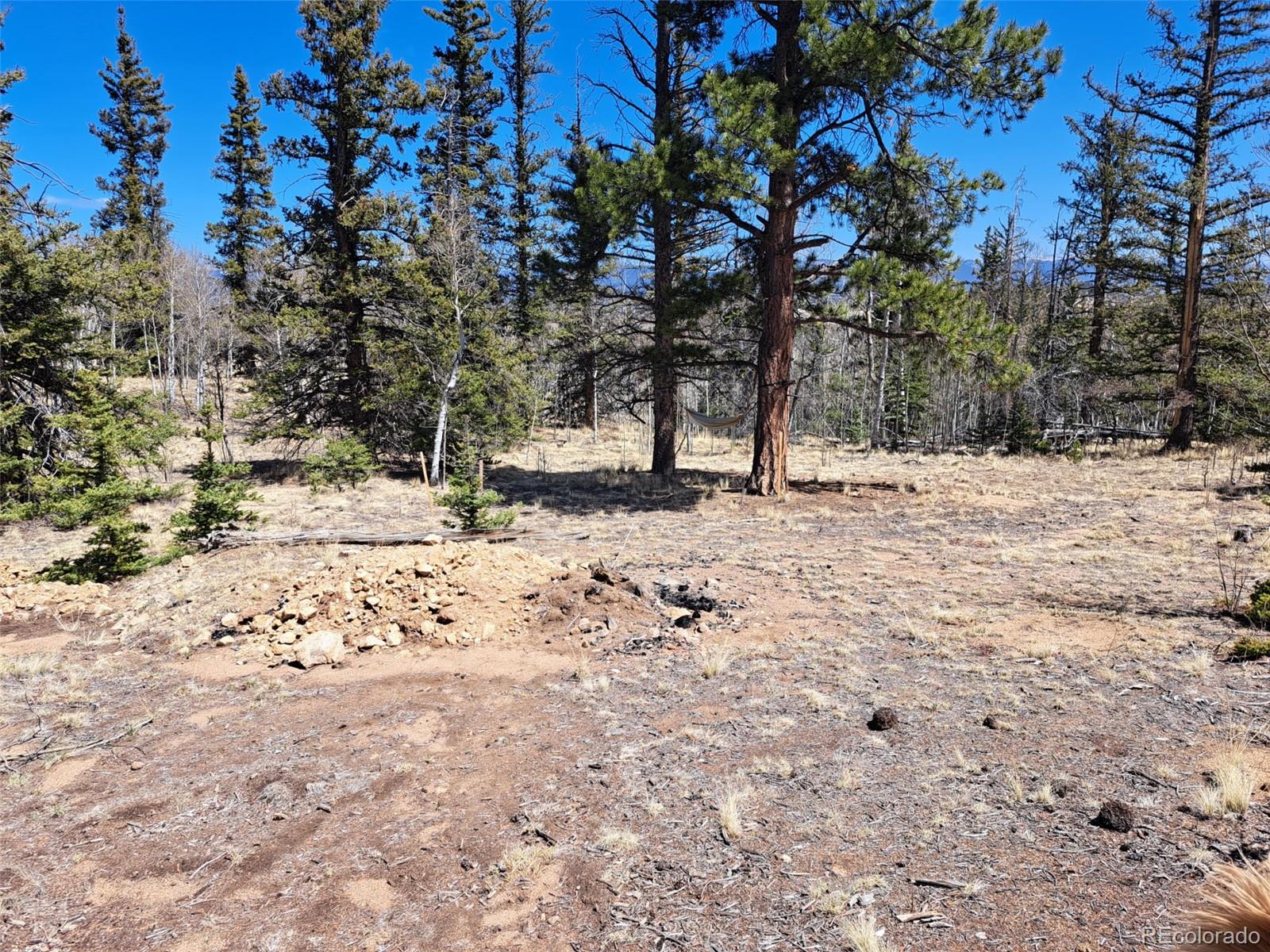 730 Tepee Trail Como, CO 80456 - Photo 3 of 29