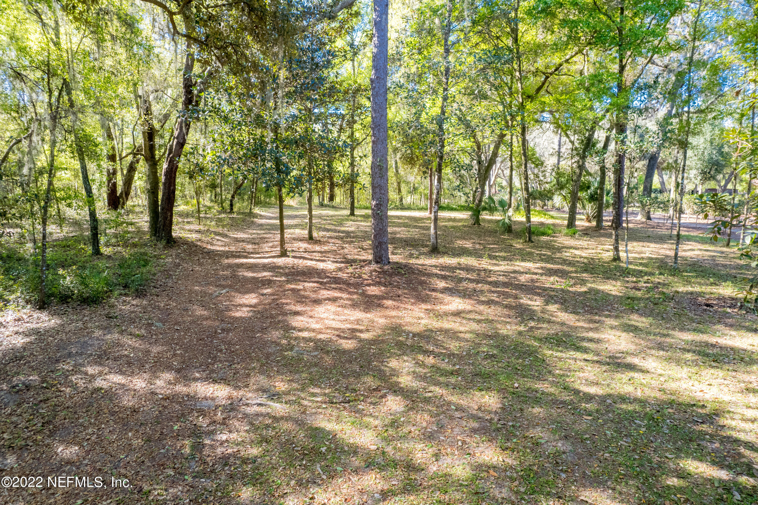 206 Mason Road Melrose, FL 32666 - Photo 10 of 18 206 Mason Road-Melrose-11