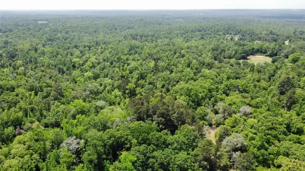 $195,000 | 0 Pr 2210 Buffalo Tx 75831, Buffalo, TX 75831