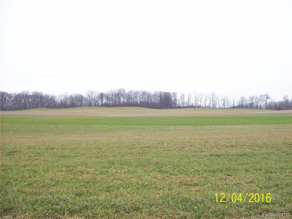 Na Moscow Road Jonesville, MI 49250 - Photo 5 of 36
