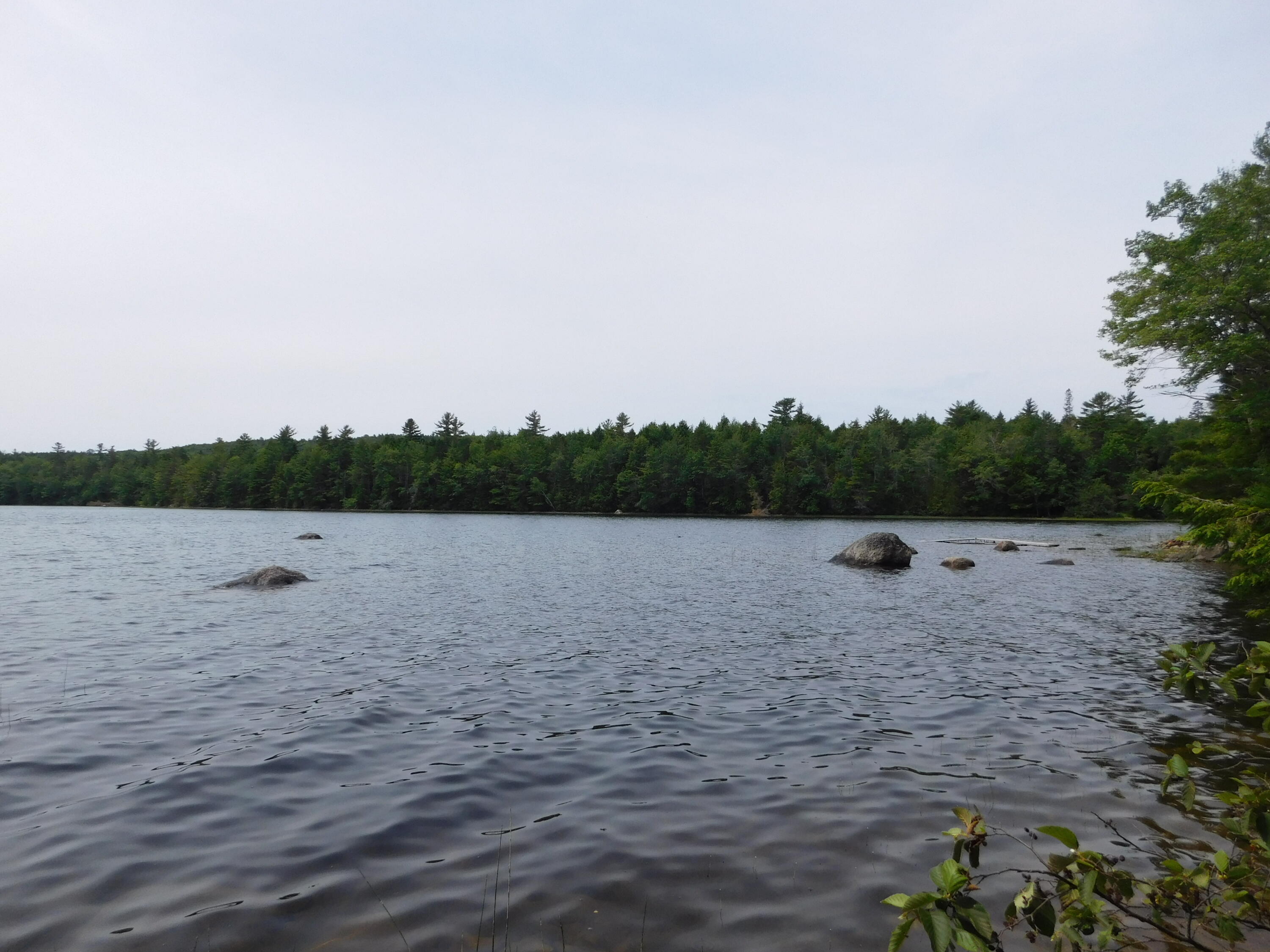 Lot 10 Lot Road Aurora, ME 04408 - Photo 5 of 53 DSCN8715