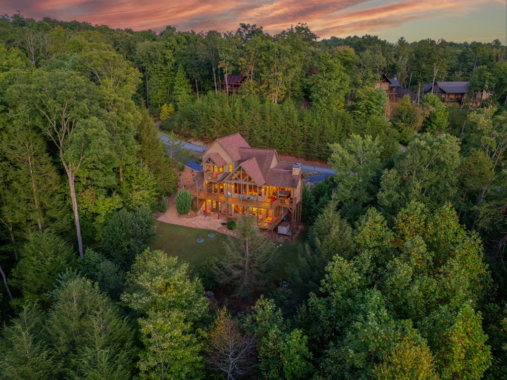1144 Settler's Ridge Road Ellijay, GA 30540 - Photo 84 of 88 an aerial view of a house with a yard