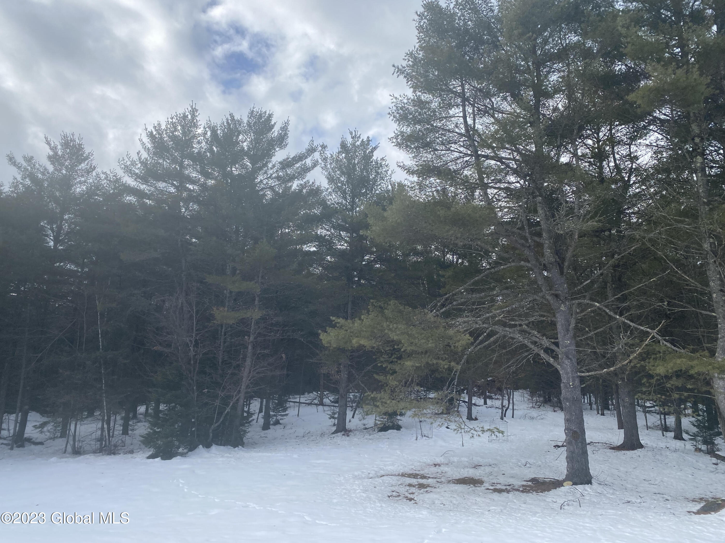 245 Lane Road Chester, NY 12853 - Photo 3 of 15 unnamed (6)