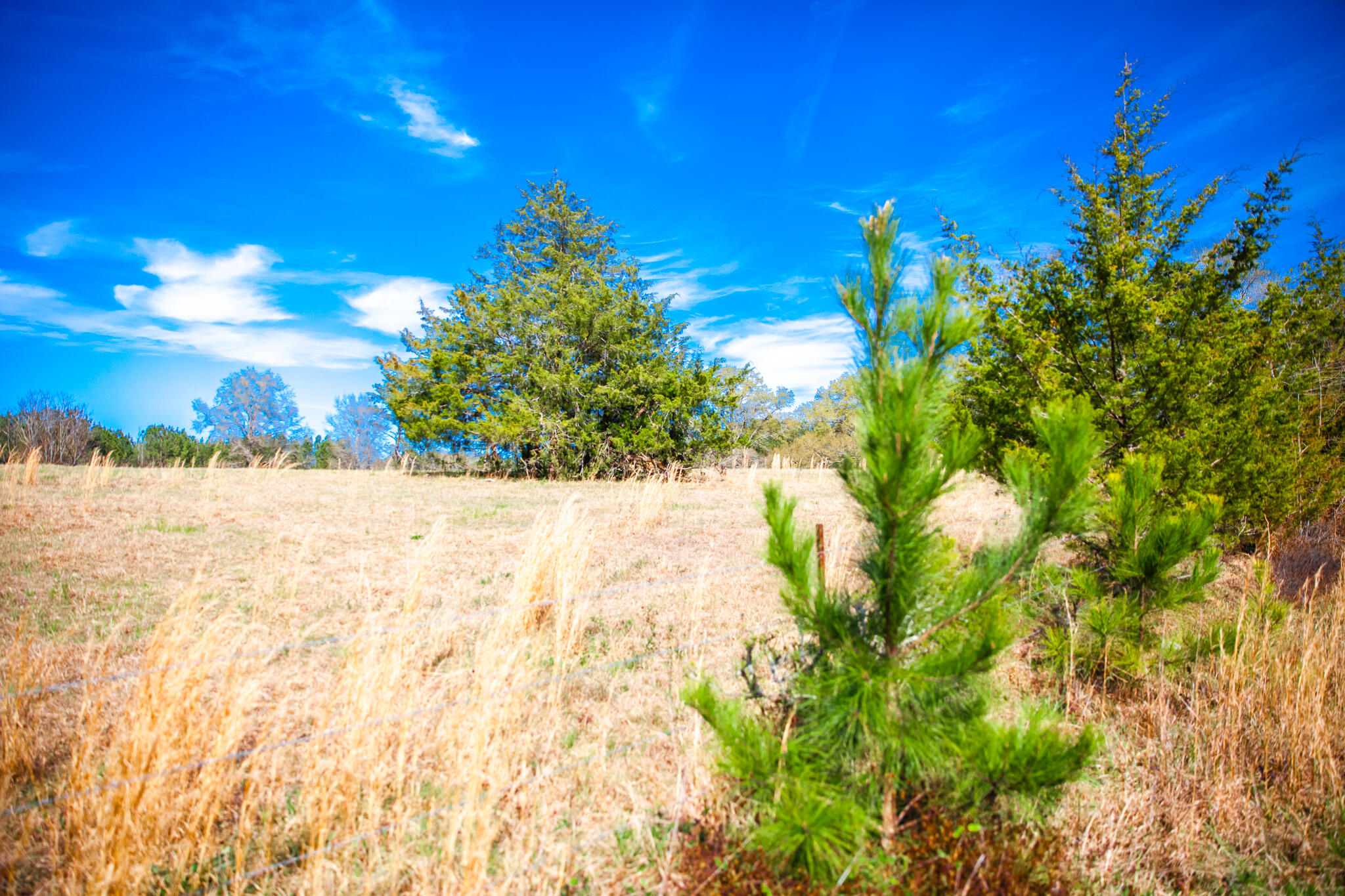 Lot 9 Mistletoe Road Appling, GA 30802 - Photo 2 of 5 IMG_1096