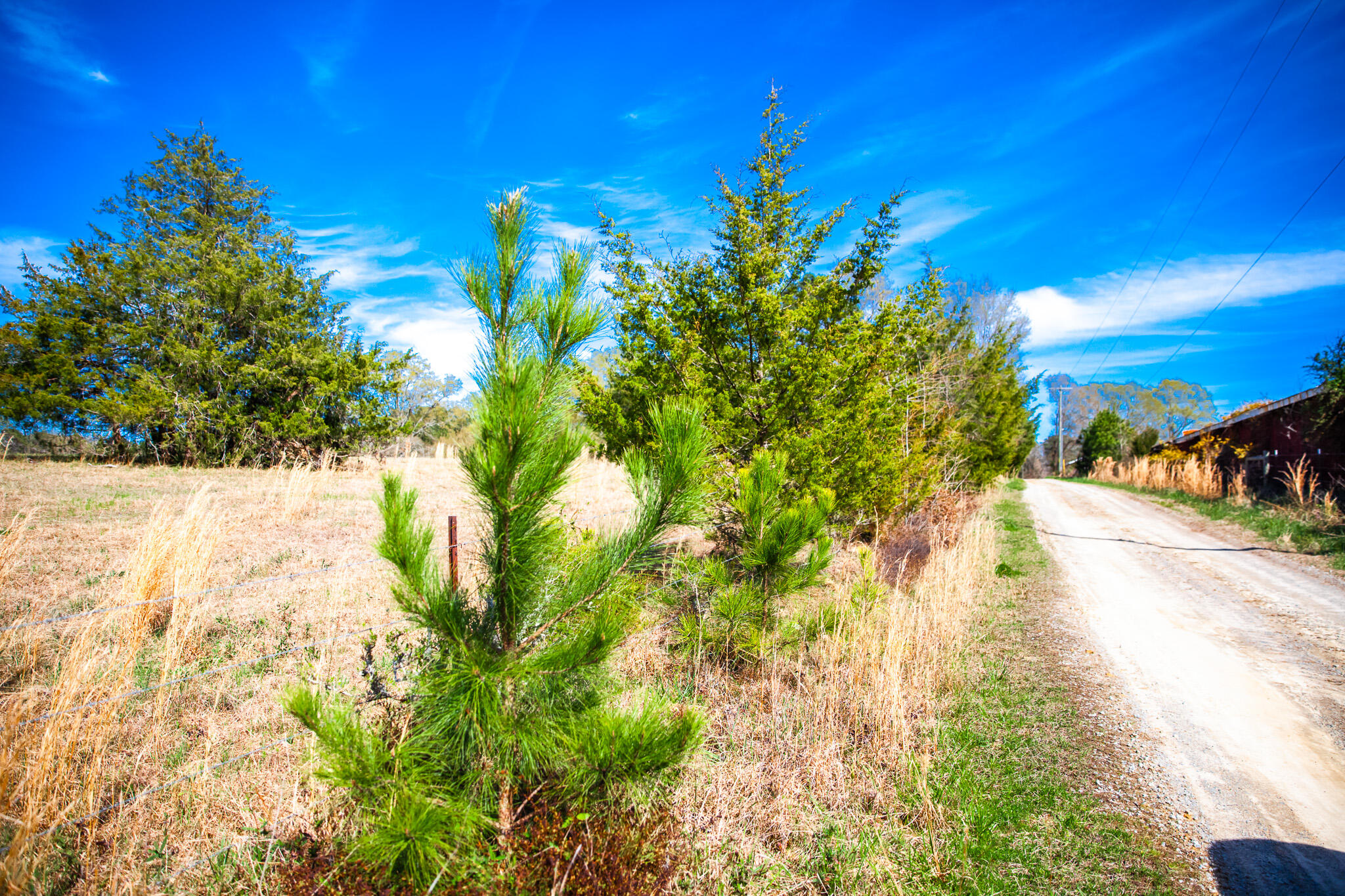 Lot 9 Mistletoe Road Appling, GA 30802 - Photo 3 of 5 IMG_1097
