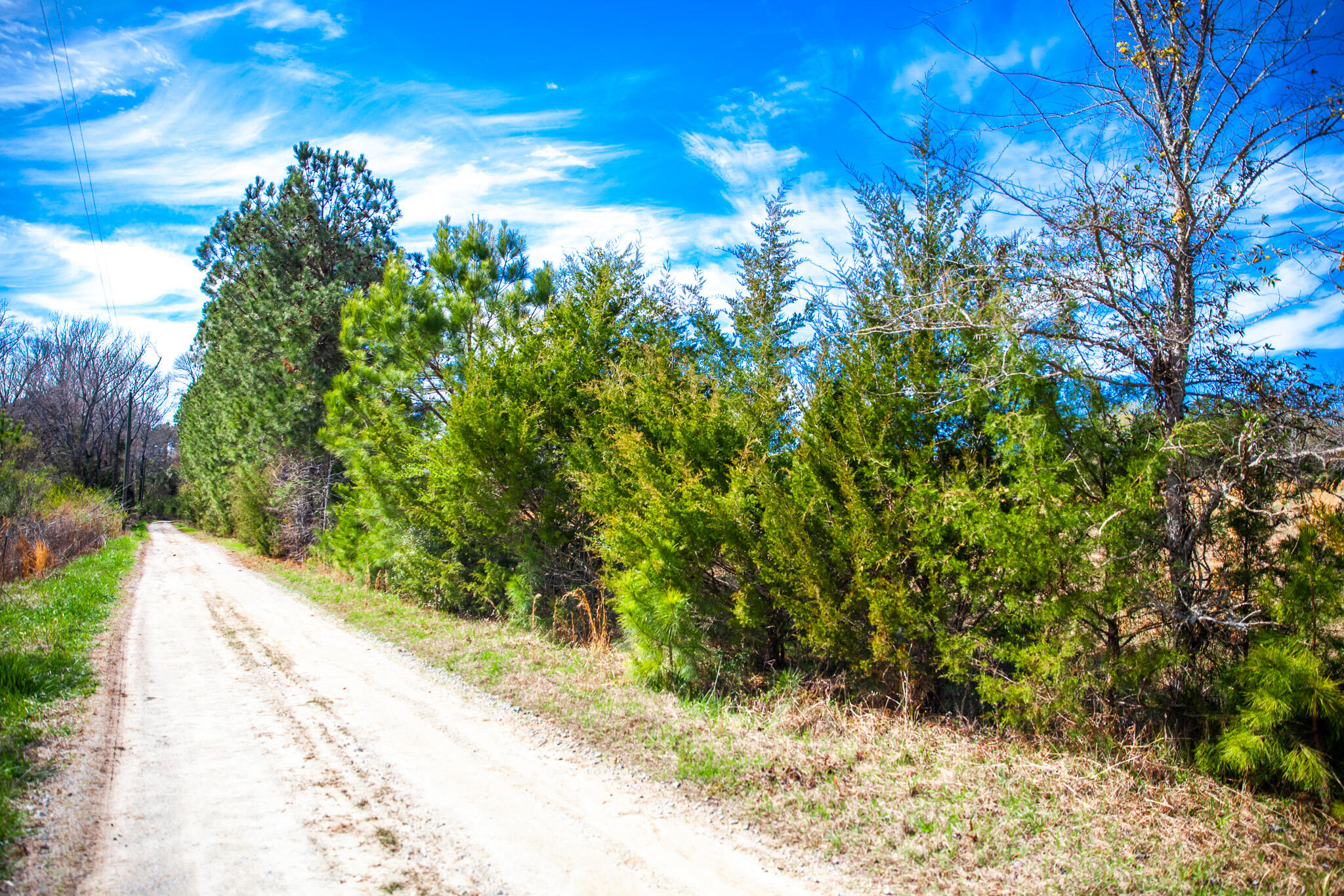 Lot 9 Mistletoe Road Appling, GA 30802 - Photo 4 of 5 IMG_1098