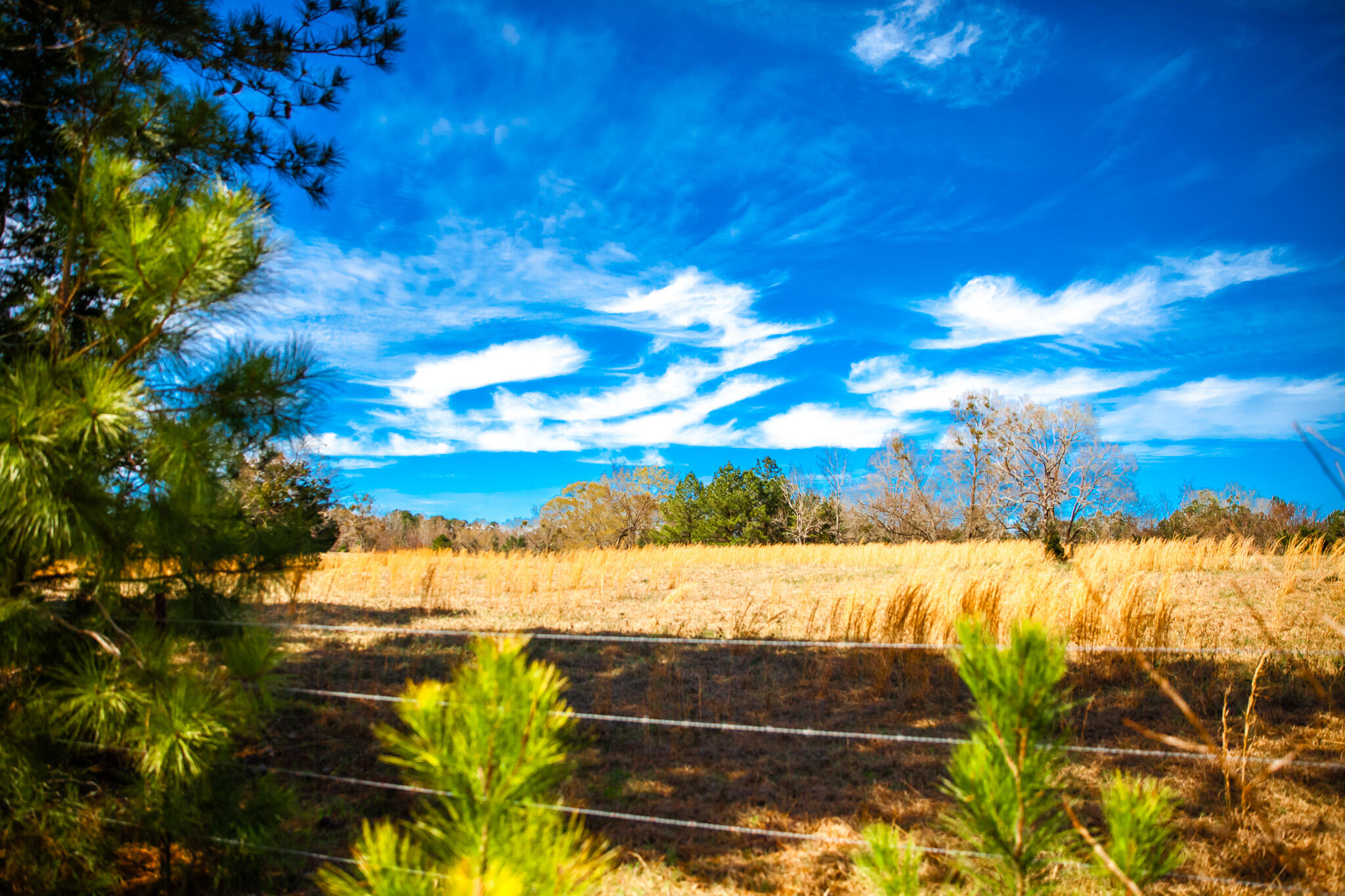 Lot 9 Mistletoe Road Appling, GA 30802 - Photo 5 of 5 IMG_1099