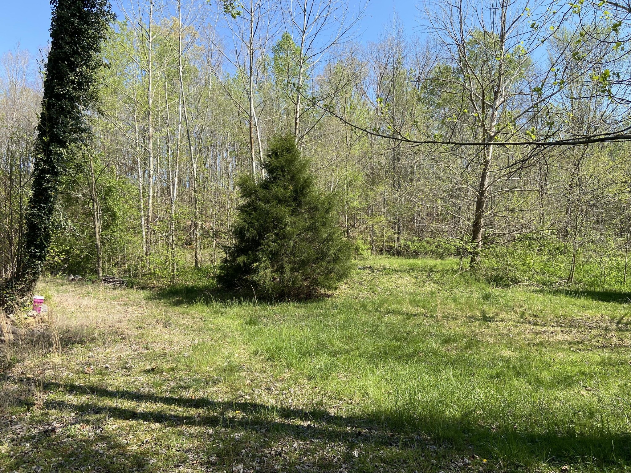 2205 Lower Cove Loop Dayton, TN 37321 - Photo 1 of 11