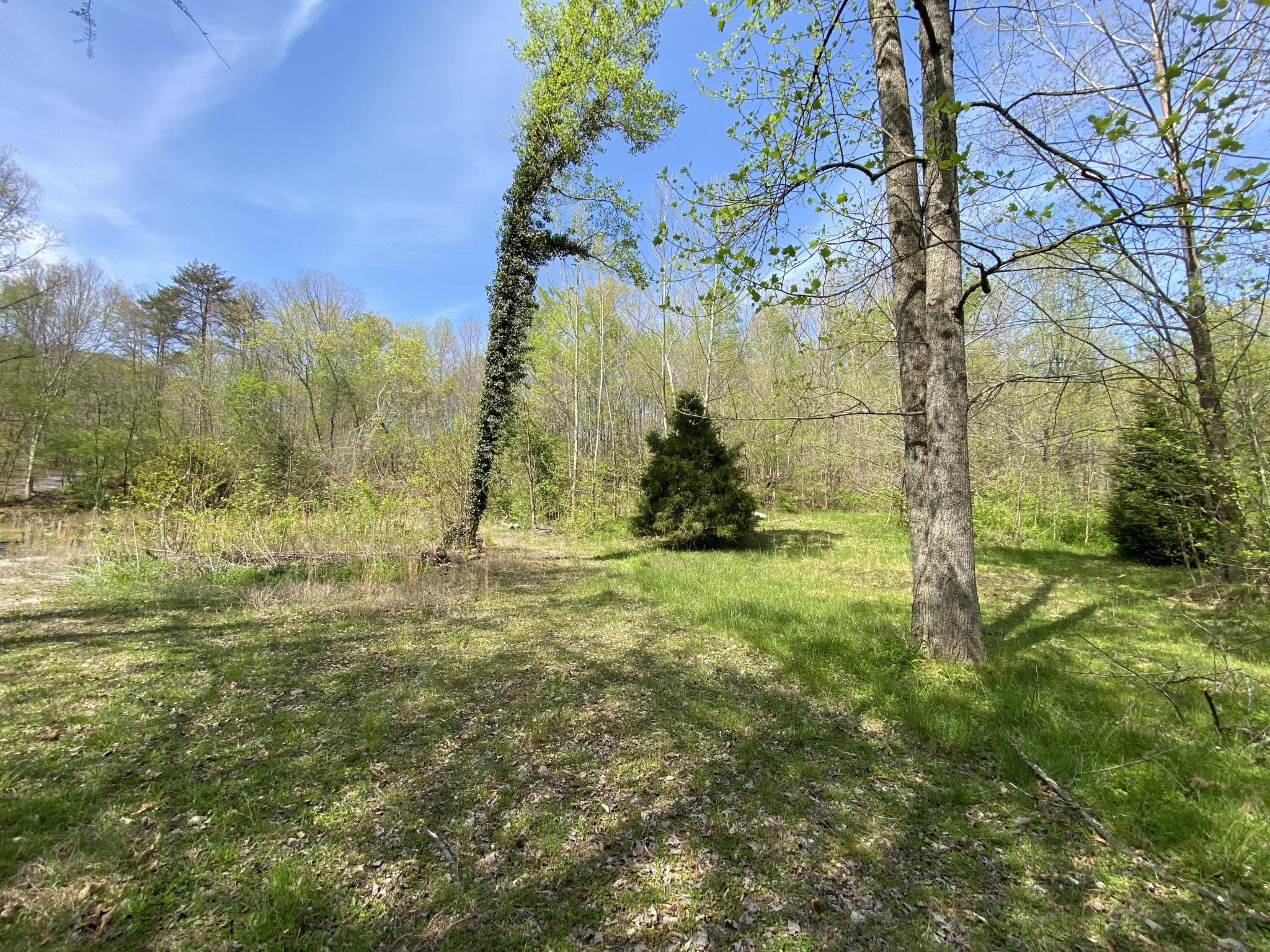 2205 Lower Cove Loop Dayton, TN 37321 - Photo 11 of 11