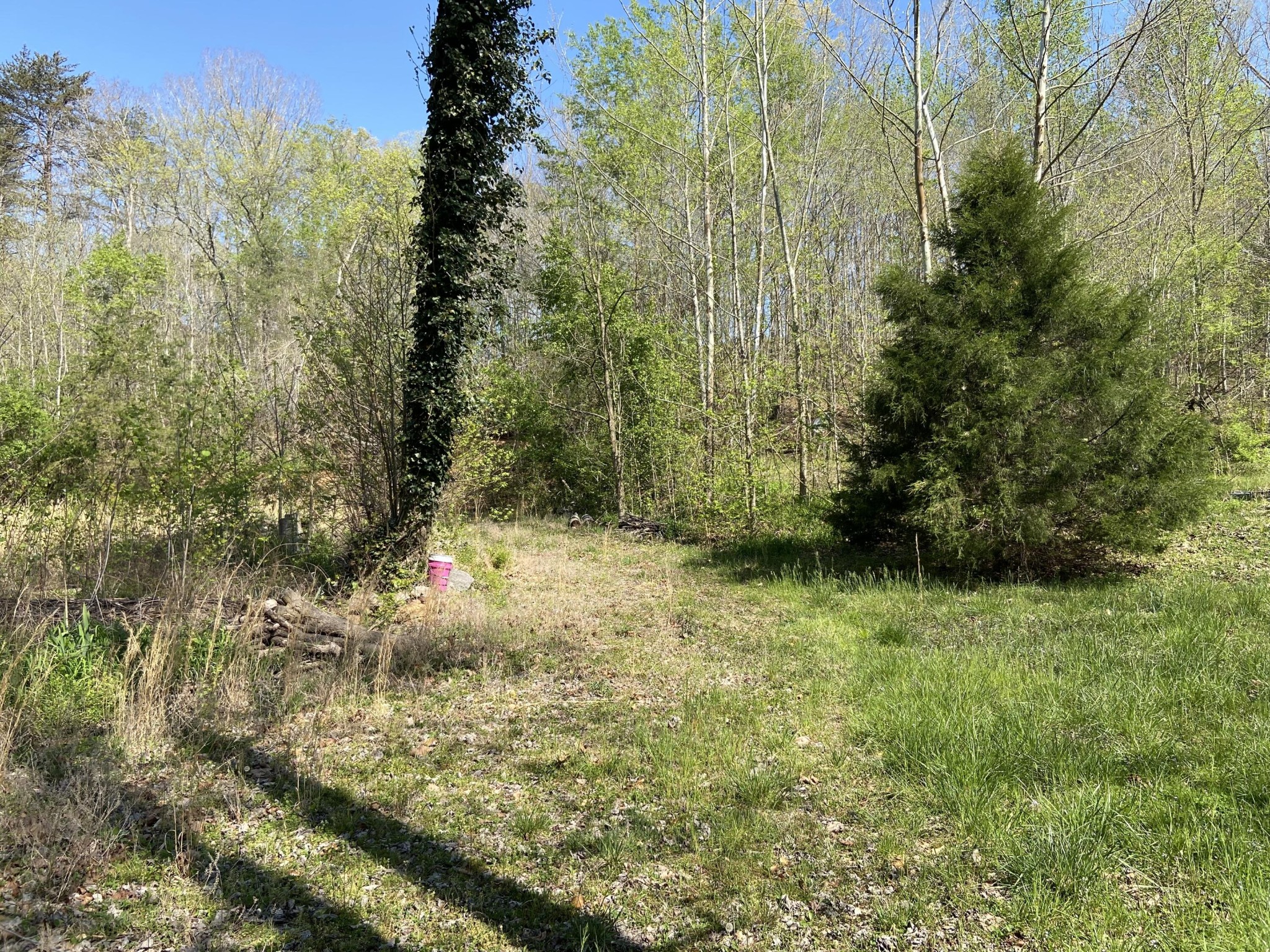 2205 Lower Cove Loop Dayton, TN 37321 - Photo 3 of 11