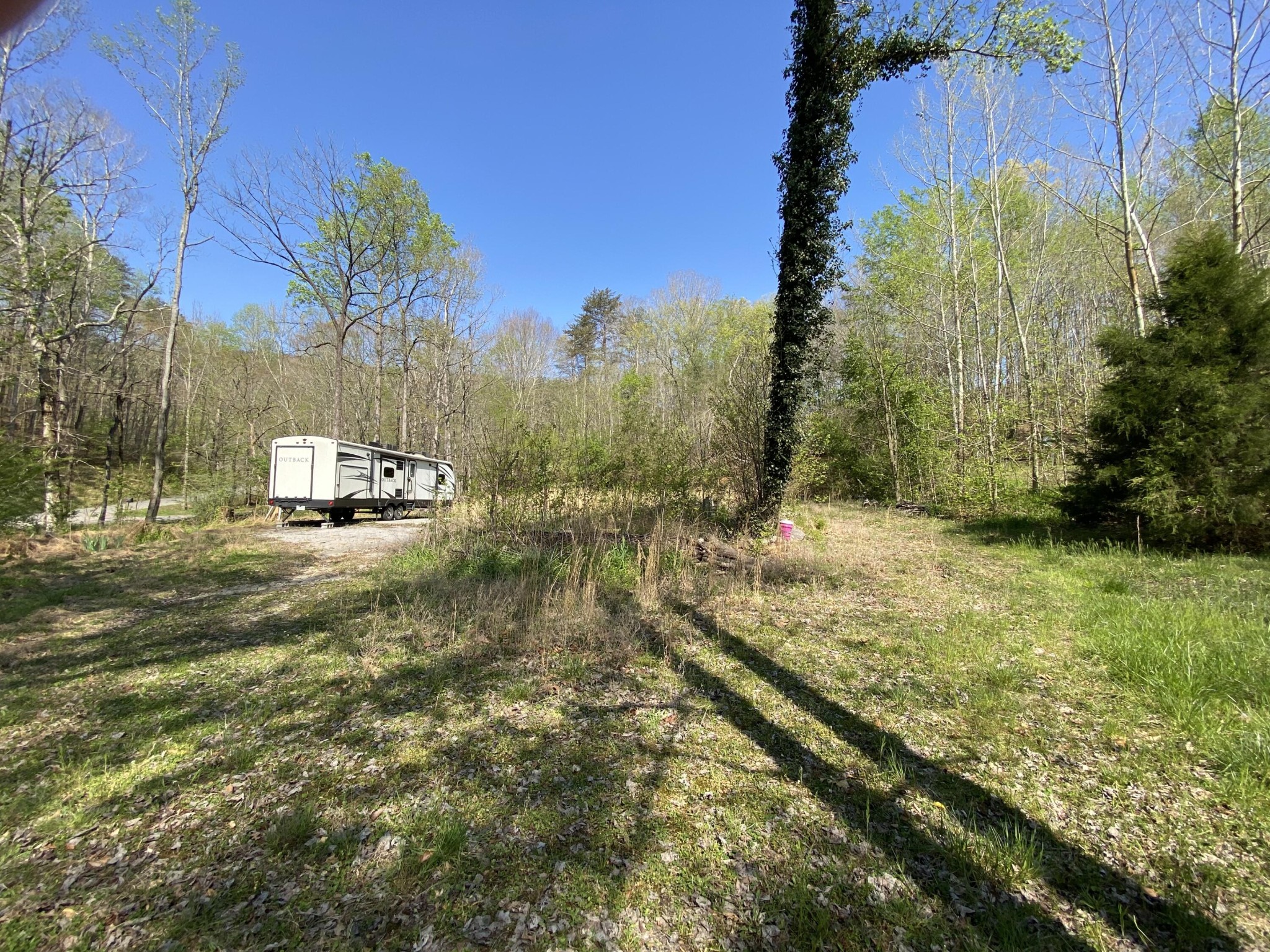 2205 Lower Cove Loop Dayton, TN 37321 - Photo 4 of 11