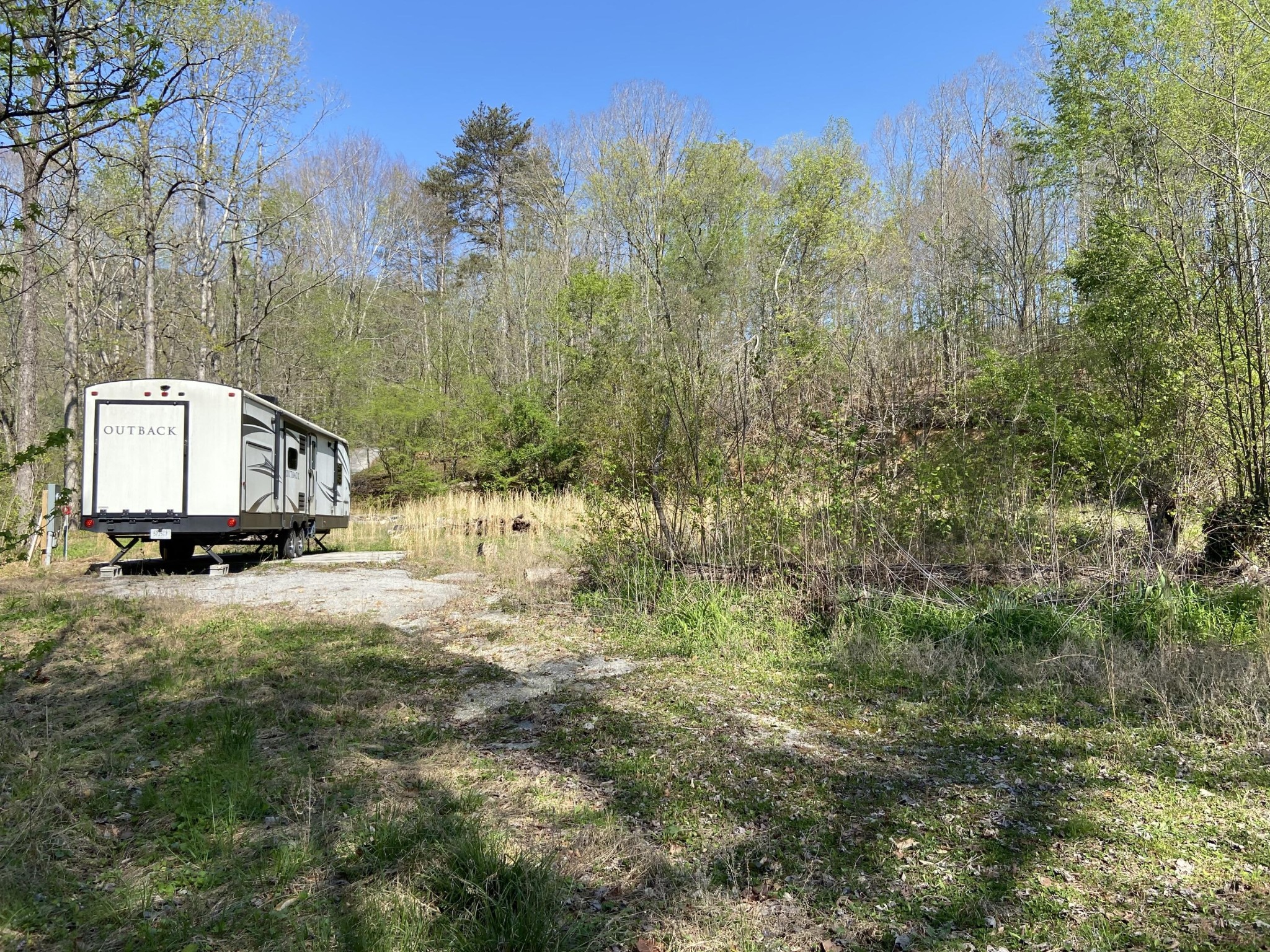 2205 Lower Cove Loop Dayton, TN 37321 - Photo 5 of 11