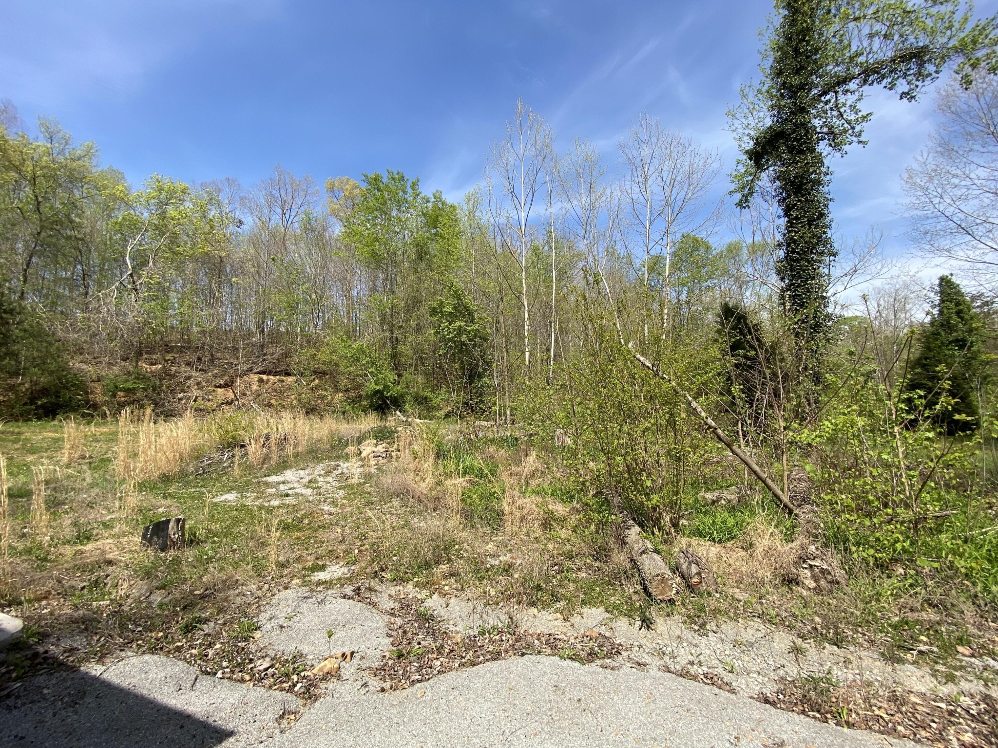 2205 Lower Cove Loop Dayton, TN 37321 - Photo 10 of 11