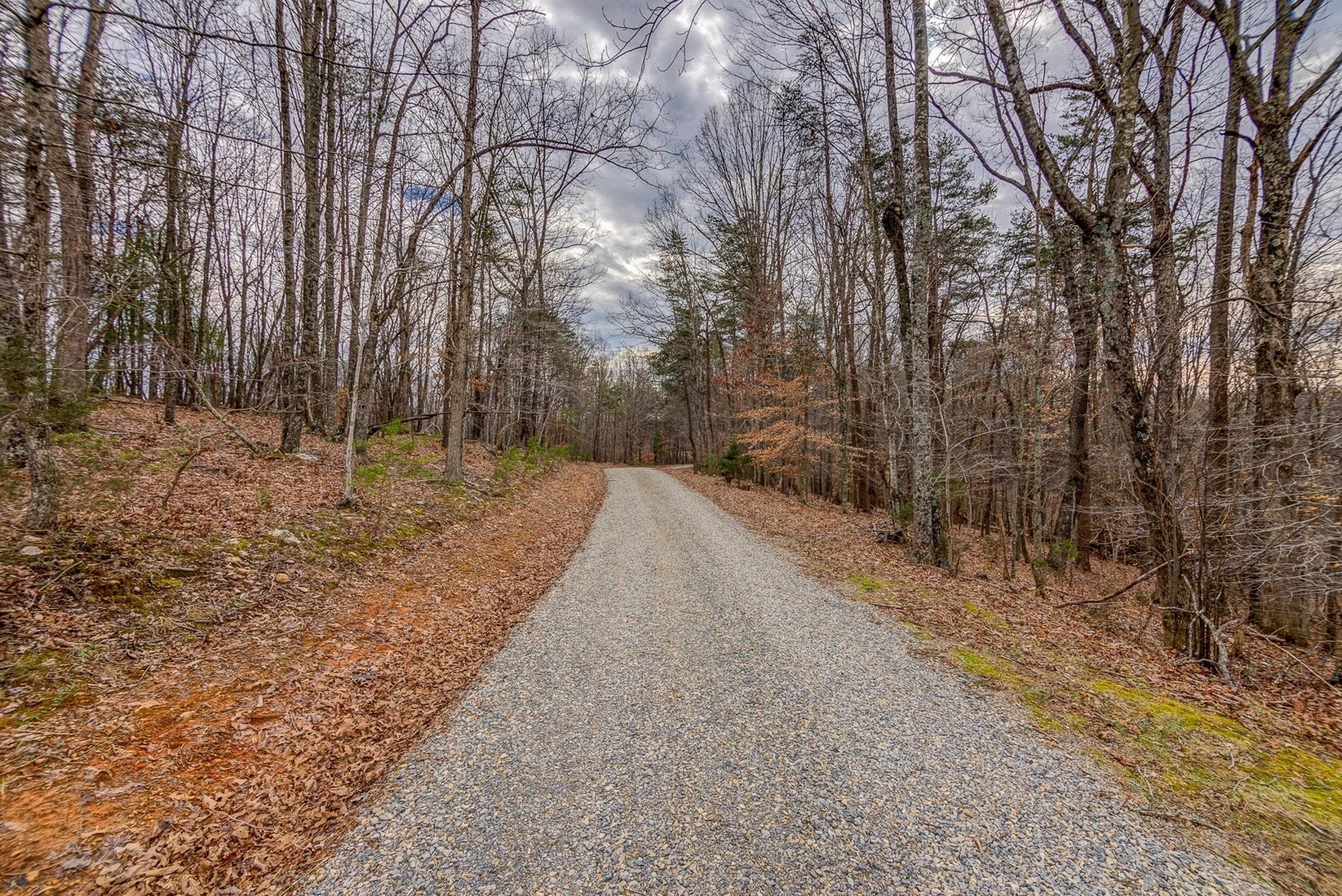 565 Charlie Road Hardy, VA 24101 - Photo 47 of 58 a view of a pathway with a yard